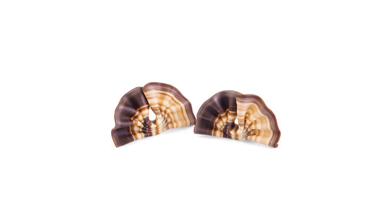 Decorazione Ventaglio Marmo Cioccolato 333[PZ]